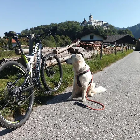 Ciao-aschau Haus Zur Burg Apn338 Schreck *
